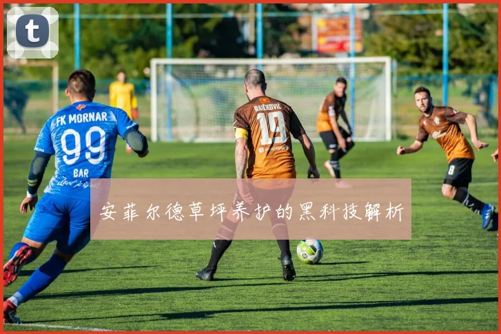 安菲尔德草坪养护的黑科技解析
