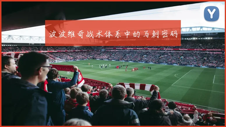 波波维奇战术体系中的马刺密码