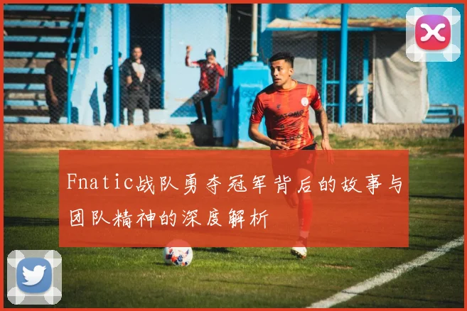 Fnatic战队勇夺冠军背后的故事与团队精神的深度解析