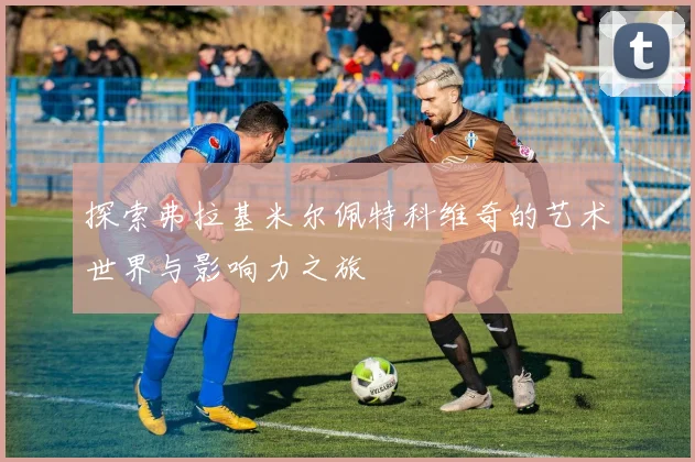 探索弗拉基米尔佩特科维奇的艺术世界与影响力之旅