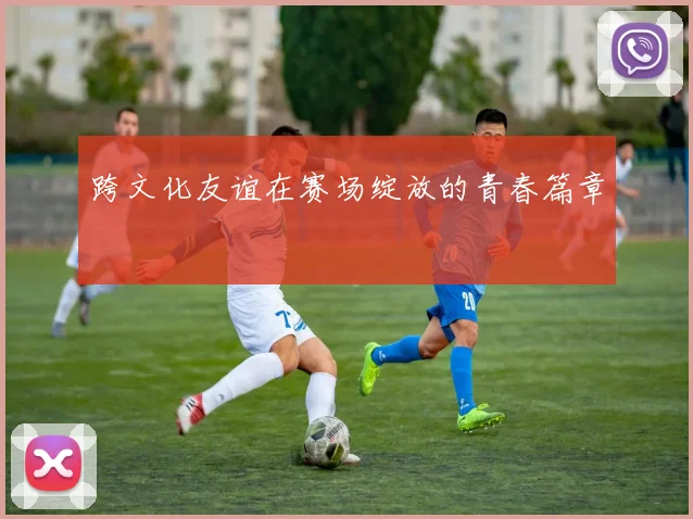 跨文化友谊在赛场绽放的青春篇章