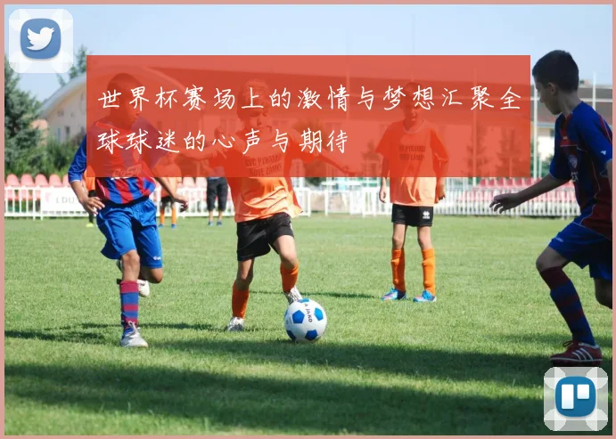 世界杯赛场上的激情与梦想汇聚全球球迷的心声与期待